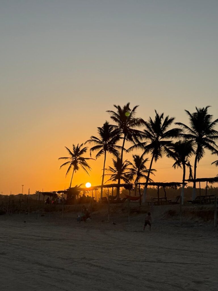 WhatsApp Image 2026-01-17 at 07.13