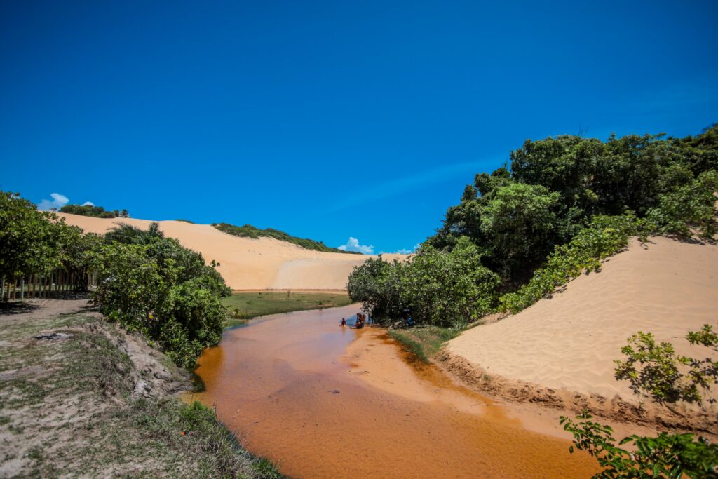 ec61eb8e7f9a69293b7cb92890fe2a2b